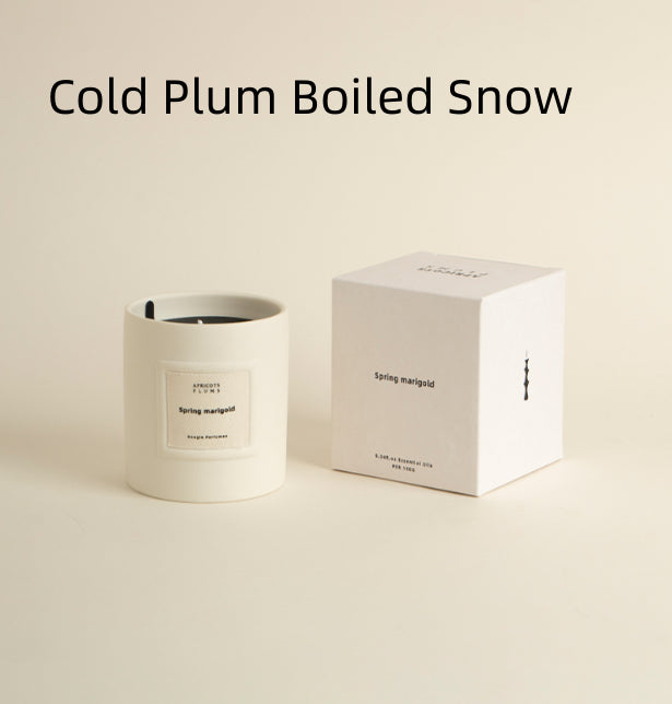 Aromatherapy Candle Ceramic Home Indoor Long-lasting Fragrance